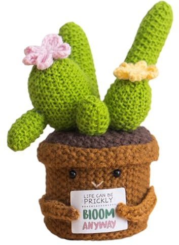 syayw Cactus de Ganchillo Positivo: Planta en Maceta | Decoración del hogar Hecha a Mano para meditación, del estrés, niños y Adultos, estantería, Escritorio, tocador