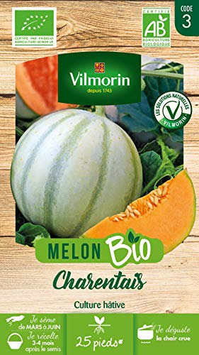 Vilmorin - Melon Charentais Bio - Culture hâtive - Semences Issues d'une Culture Conforme aux règles de l'agriculture Biologique - Chair Orange Vif très parfumée, épaisse et juteuse