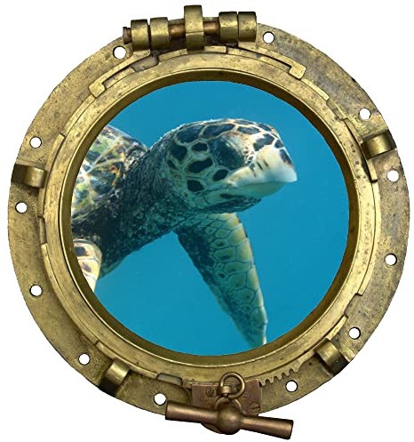 GRAZDesign Wandtattoo Badezimmer Bullauge Schildkröte, Wandsticker Fliesensticker Maritime Deko für Fliesen, Wand, Tür, Schrank, Wandaufkleber - 43x40cm