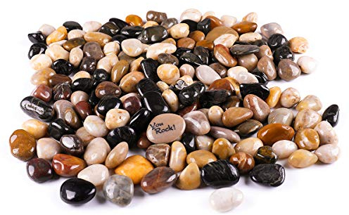 ROCKIMPACT 8,6 kg Hochglanzpolierte dekorative Steine für Pflanzgefäße, Vasen, Terrarien, Garten, Outdoor, Fluss, Felsen für Landschaftsbau, Pflanzen, 1,9 cm bis 3,8 cm (3/4 Zoll) (mehrfarbig)