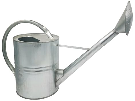 Gießkanne Metall 10L verzinkt – Robuste Zinkgießkanne & Blechgießkanne im Nostalgie Design – Mit feiner Messing Brause für Garten & Gewächshaus – Langlebige Gartenkanne, Rostfrei