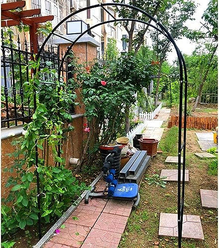 GueTTO Arche De Jardin en Fer Forgé Largeur du Passage 120Cm 140Cm 180Cm 240Cm 300Cm 350Cm Arceau À Rosiers Tonnelle pour Mariage Vigne Support De Plantes,Noir,W120cm x H220cm