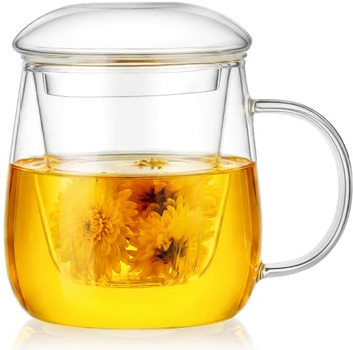 AOOTE Taza de Té de Vidrio,Taza Grande de Borosilicato de 400 ml,Taza de Té con Filtro y Tapa de Vidrio Borosilicato para Té,Bebidas,Café Helado
