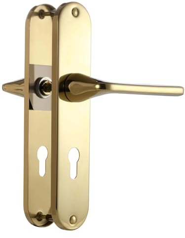 SORWDUERM Türgriff Pvd Gold Drückergarnitur,Edelstahl matt gebürstet,72mm PZ Zentren Türklinke Set für Haustür und Innentür,PZ-Profilzylinder,L-Form