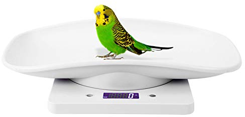 Babywaage Kleine Babywaage für Katzen und Hunde Haustier-Katzen- und Hundewaage