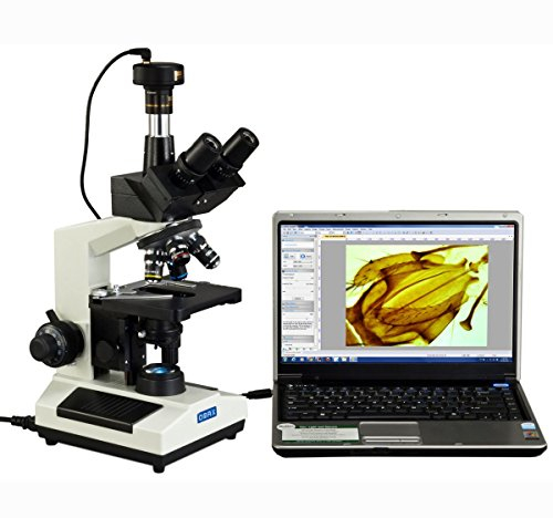AmScope M837ZL-C50U OMAX 40X-2500X Labor Trinocular Compound LED Mikroskop mit 5MP Digitalkamera