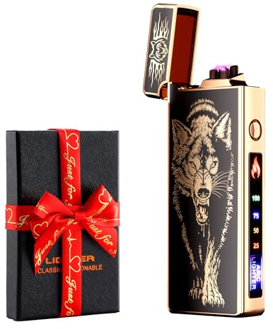 dachance Accendino elettrico, indicatore batteria, USB, plasma, ricaricabile, antivento e senza fiamma, doppio arco con indicatore di batteria per candele/barbecue (loup)