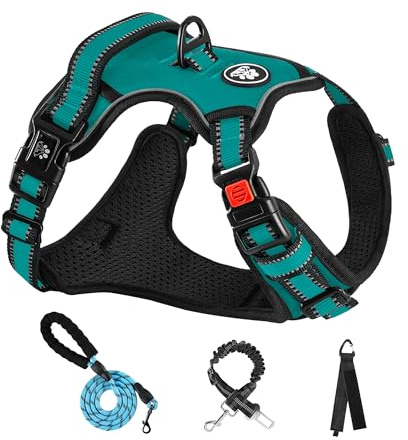 NESTROAD Hundegeschirr für kleine Hunde, Hellblau | Gepolstertes Anti-Zug Geschirr mit Reflexstreifen | Halsumfang 28–38 cm, Brustumfang 38–53 cm