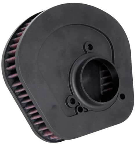 K&N Engine Air Filter: High Performance, Powersport Air Filter: Fits 2018-2019 HARLEY DAVIDSON (FLDE Deluxe, FLFB Fat Boy, FLHC Heritage Classic, FLSB Sport Glide, and other select models) HD-1718