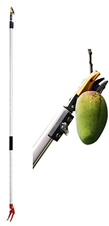 LekLai Obstpflücker-Werkzeug, 2 M, Manueller Teleskop-Obstpflücker, Obstpflücker Mit Großer Reichweite, Stangensäge Mit Großer Reichweite, Ausziehbare Baumschere, Obstfänger, Obstgarten-Pflückwerkze