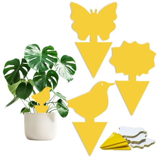 UUNEYX 30 PCS Fruit Fly Traps,Double-sided Fungus Gnat Killer Yellow Sticky Fly Traps Insect Catcher for Multiple Insects,Indoor Plants (30 Pcs-C)