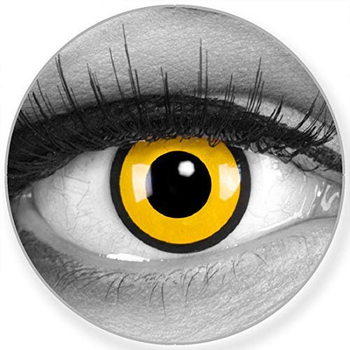 Funnylens Farbige schwarz gelbe Kontaktlinsen Black Yellow - weich ohne Stärke 2er Pack + gratis Behälter – 12 Monatslinsen - perfekt zu Halloween Karneval Fasching oder Fasnacht