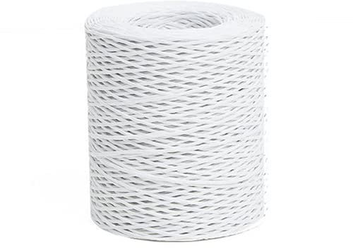 656 Feet Floral Wire, 2mm Bind Wrap Twine, Paper Covered Rustic Vine for Arrangements, Flower Crowns, Grapevine Wreath Making, Wedding Decorating, DIY Projects (White)