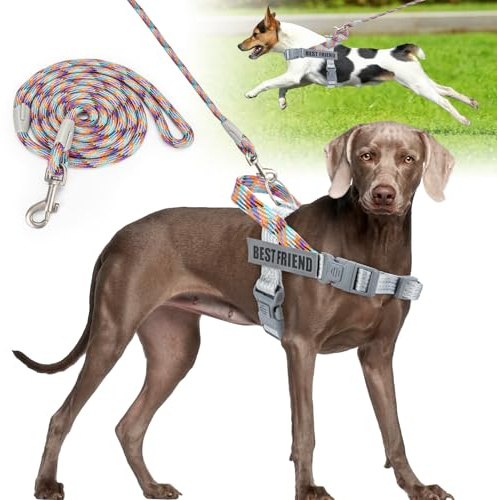 Onlyesh Harnais Chien avec Laisse Chien, Réfléchissant Harnais Anti Traction pour Chien, Réglable, Facile à Contrôler, Harnais pour Chien pour Petit Moyen et Grand, Argent, S