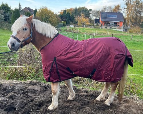 Brama-West - Coperta invernale per cavalli, per esterni, 1680D, 200 g, impermeabile, colore: rosso vino (155)