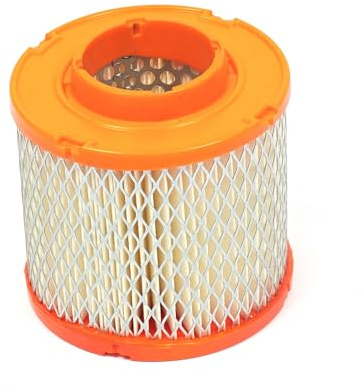 Briggs & Stratton Cartuccia Filtro dell’Aria Originale 845090 Briggs And Stratton, Arancia
