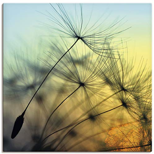 ARTLAND Wanddeko Leinwand Bilder Wandbild Pusteblume Botanik Blumen Blüten Sonnenuntergang Modern T5XL