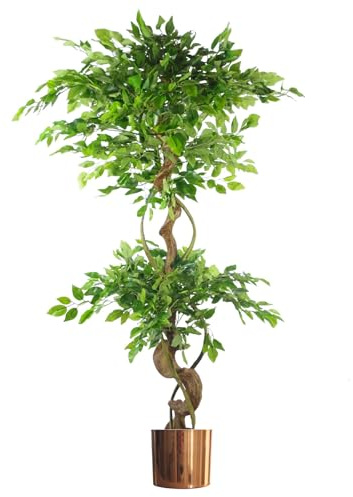 Leaf Internal_UK_high, rame ritorto grande, 150 cm (5ft)