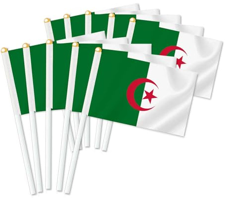 Lot de 25 drapeaux de Algérie Handheld, décor tenu à la main, bannière de décoration à la main Algeria