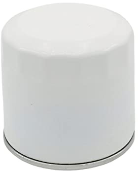 motokent ELEMENTO DE FILTRO DE ACEITE: Compatible con LOMBARDINI/LDA 450 / 3LD 510 / LDA 80 / LDA 100 / 4LD 640 / 4LD 820-4228