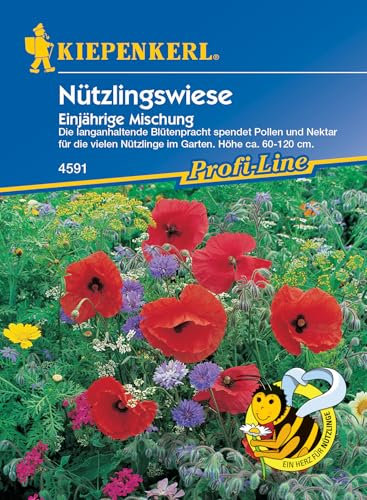 Kiepenkerl Profi-Line Blumensamen-Mischung Nützlingswiese 4591 - langanhaltende Blütenpracht - Höhe ca. 60-120 cm - Blumenwiese, Saatgut, Wildblumensamen