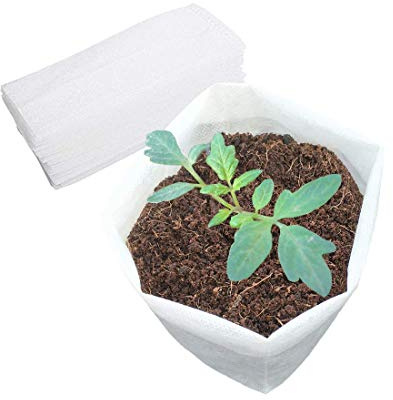 Belit Grandi sacchetti per piante in tessuto non tessuto, 30 pezzi, contenitori per piantine, per alberi, verdure, fiori, piante (32 x 34 cm)