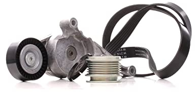 INA 529 0469 20 Keilrippenriemensatz 1050mm 6-Rippenanzahl Kompatibel mit VW Golf 5 Schrägheck 1K1 03G903137B 1455380 03G903315C | Kompatibel mit: AUDI A3, A3 Cabriolet, A3 Sportback, FORD GALAXY I, SEAT ALTEA, ALTEA XL, IBIZA IV, IBIZA IV SC, LEON