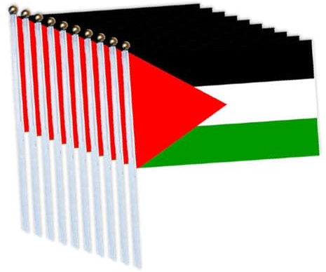 Mini drapeau palestinien, 14 x 21 cm, petit drapeau palestinien agitant à la main sur bâtons, petits drapeaux de Palestine miniatures sur bâton, drapeau de pays palestinien, pour bureau, festivals,