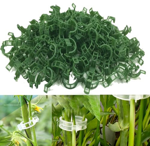 100PCS Plant Support Clips, Plant Clips for Climbing Plants, Reusable Garden Clips for Plant Tomato Vines, Trellis Clips Connects Plant Flower Vegetable Plant Support for Upright Growth (Green)