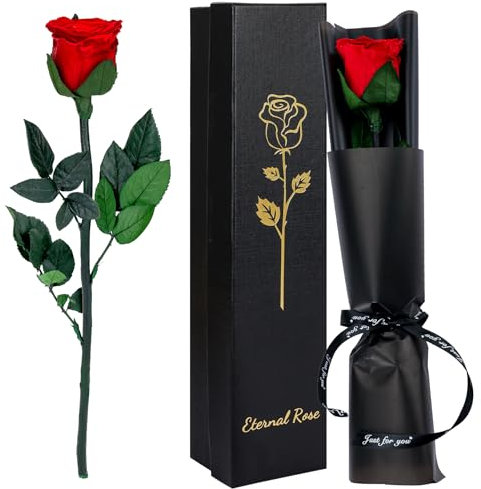 CSYY Rosa Eterna, Rosa Eterna Rojo con Tallo Flores Preservadas Regalo San Valentín Dia de la Madre Flores Preservadas Regalo Mama Navidad Rojo