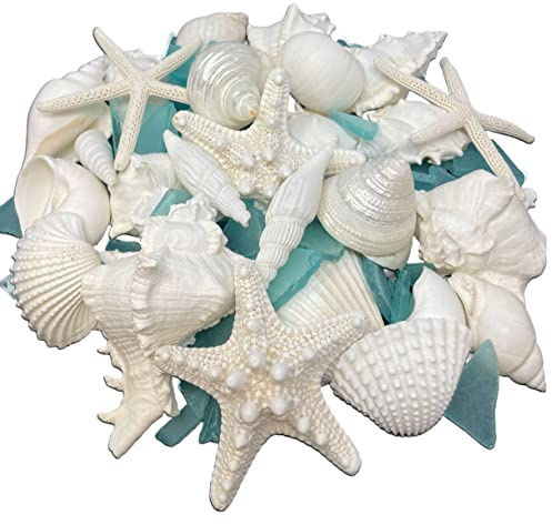 Tumbler Home Natural Sea Shells, Starfish & Sea Glass, Generous 1.5 lbs Hand Picked – Hand Packed | DIY, Crafts, Party, Wedding Decor | Shells 1.5 to 4.5 Inches