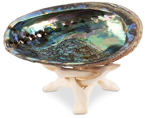 Wish Well Natural Abalone Shell 5-6 Inch Large with Wooden Stand - Incense Holder and Sage Smudge Bowl for Cleansing, Smudging, and Meditation - Palo Santo Holder & Beautiful Home Decor