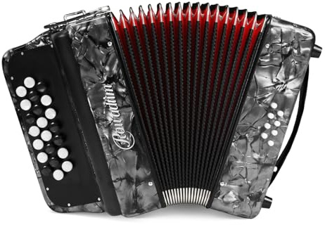 Accordion - 22 keys 8 bass, lightweight piano accordion for beginners, vibrant design for beginners and adults for easy learning (8 Bass, Gray)