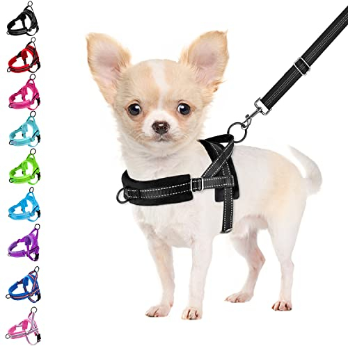 Eyein Hundegeschirr mit Leine für mittelgroße Kleine Hunde, Weich gepolsterter No-Pull Brustgeschirr mit 2 Leinenclips, Leichtgewicht Reflektierend Geschirr Hals und Brust verstellbar (Schwarz, S)