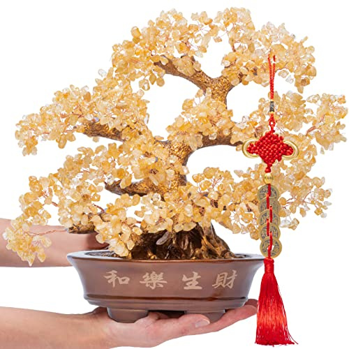GEMBOURY Natural Large Citrine Tree,14Feng Shui Money Tree(1251 Gemstone Count)Citrine Crystal Tree for Abundance Prosperity Success Fortune Decoration Tree Bonsai for Home & Office Good Luck Wealth