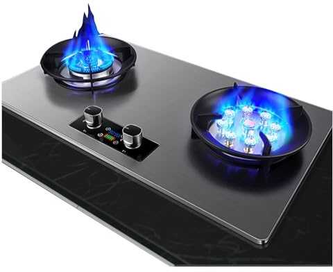 Cuisinière À Gaz En Acier Inoxydable 75 Cm, Cuisinière À Gaz D'extérieur À Double Brûleur, Cuisinière Au Propane, Dispositif De Protection Contre Les Extinctions Accidentelles De 5,2 KW(LPG)