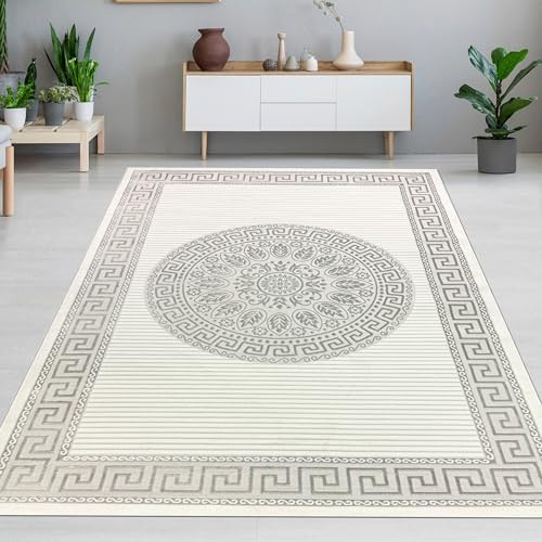 CARPETIA Matta, vardagsrumsmatta, matsal, stor, XXL, modern, ädel, elegant, enorm, glänsande, kort lugg, vardagsrumsmatta, krämvit, grå, 240 x 340 cm
