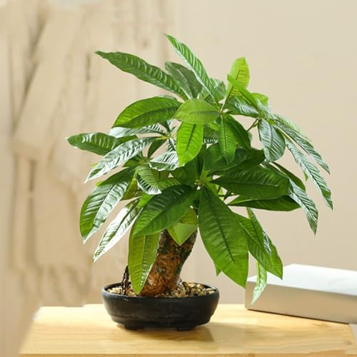 PETSTIBLE Gefälschter Geldbaum, 43,2 cm, künstlicher Geldbaum, Pflanze, Innentopf, künstlicher Geldbaum, Heimdekoration