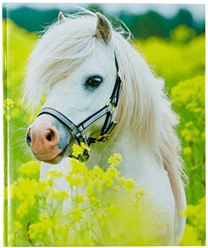 Pagna 20147-15 Poesiealbum kleines Pony 128S