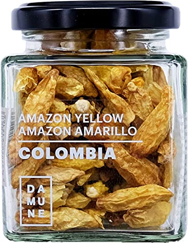 DAMUNE Chile Tabasco Amazon Amarillo - Colombia - 35g
