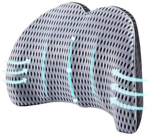 Aipwerer Coussin Lombaire Voiture, Coussin de Soutien Lombaire Ergonomique, Mousse à Mémoire, Coussins Lombaires pour Chaise de Bureau, Voiture, Maison, Voyage, Soulage Le Mal de Dos (Gris Mélangé)