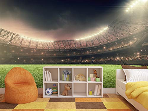 Fotomural Vinilo para Pared Motivo Deportivo Estadio de Fútbol | Fotomural para Paredes | Mural | Vinilo Decorativo | Varias Medidas 500 x 300 cm | Decoración comedores, Salones, Habitaciones...