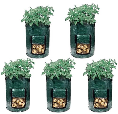 BTAISYDE 5 X Sacs à Plantes -Sacs de Plantation-pour Planter des Sacs de Plantation de Pommes de Terre/Carottes/Tomates/Fruits - Noir,Green,34 gallons