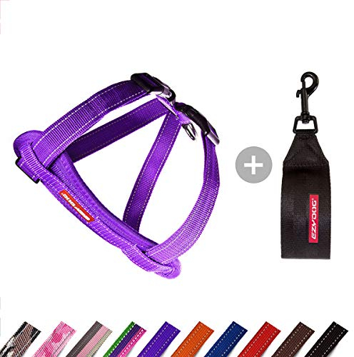 EzyDog Hundegeschirr Auto mit Sicherheitsgurt, Brustgeschirr Hund, Sicherheitsgeschirr Hund, Chest Plate' Geschirr für Kleine, Mittelgroße und Große Hunde, Reflektierend, Gepolstert (M, Violett)