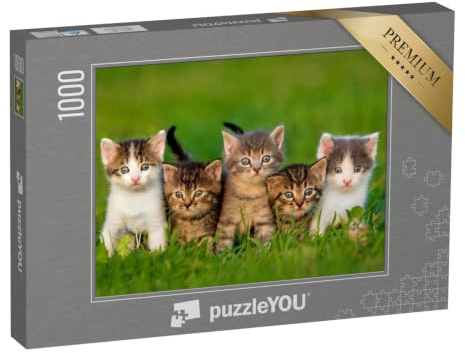 puzzleYOU: Puzzle 1000 Teile „Fünf neugierige Kätzchen“ – aus der Puzzle-Kollektion Katzen-Puzzles