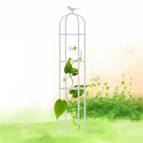 Treillis Obélisque de Jardin pour Plantes grimpantes – Cage de Support en métal Durable, Hauteur 120-190 cm, Blanc, idéal pour Les Plantes en Pot, 25 x 160 cm (9,8 x 63 po)