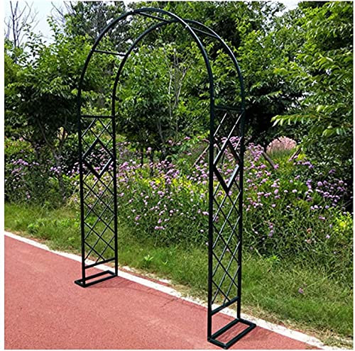 Pergola de jardin en métal – Auvent d'extérieur résistant aux intempéries pour plantes grimpantes et fleurs – Arche de mariage élégante et décoration de pelouse robuste pour jardins