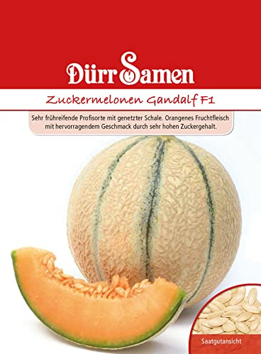 Dürr-Samen - Zuckermelone Gandalf F1 Saatgut