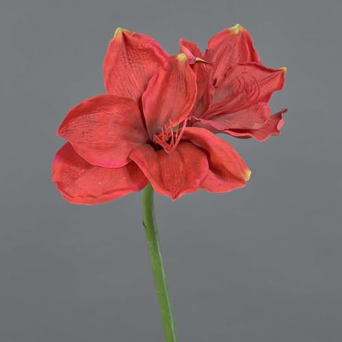 artplants.de Kunst Amaryllis NARWELA, rot, 70cm, Ø10-13cm - Deko Amaryllis