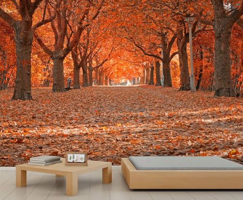Natural Forest Mural Wallpaper Orange Leaf Forest Trail Wall Murals Autumn Woods Park Natural Scenery Wallpaper for Living Room Kitchen Dining Room 250 x 175 cm